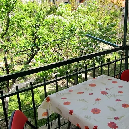 Gostinjska kuća Miletic Near The Palace 3*